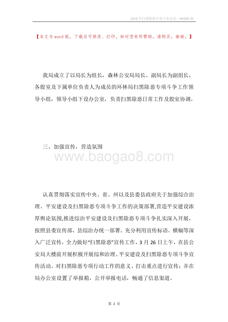 2019年扫黑除恶专项斗争总结.docx_第2页