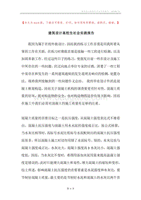 建筑设计高校生社会实践报告.docx
