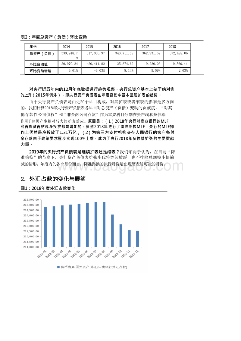 央行资产负债表2018年度回顾和2019年展望分析报告.doc_第5页