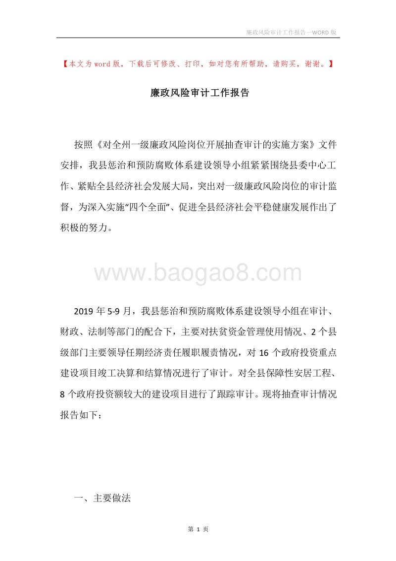 廉政风险审计工作报告.docx_第1页