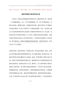 城管局精细化管理经验交流.docx