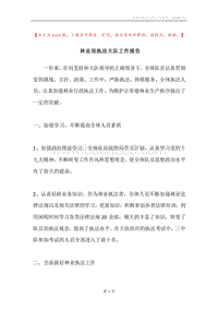 林业局执法大队工作报告.docx