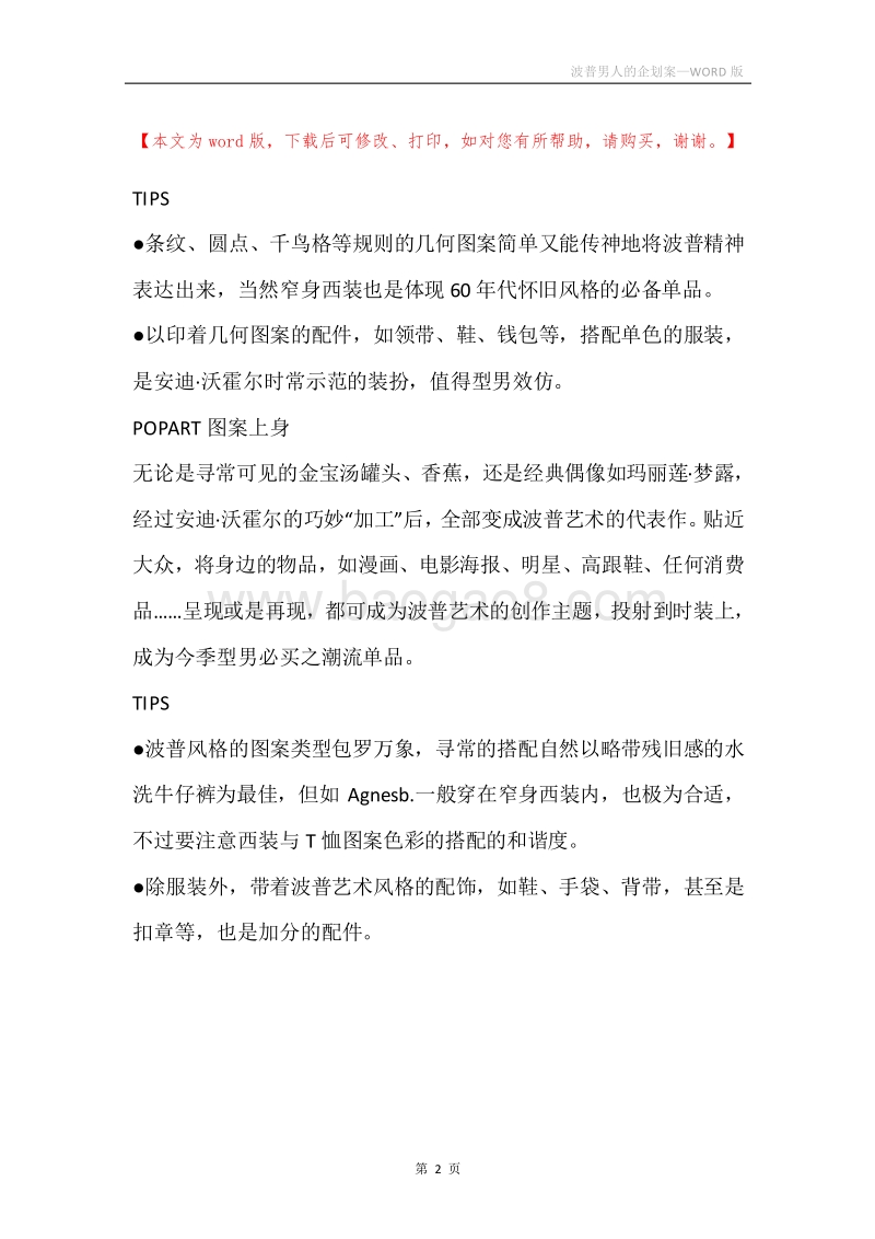 波普男人的企划案.docx_第2页