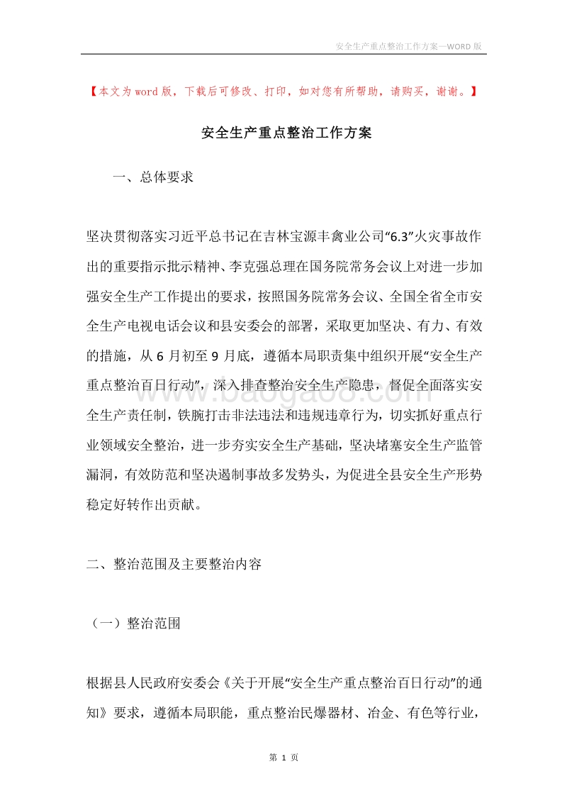 安全生产重点整治工作方案.docx_第1页
