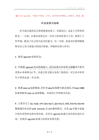 IT企业实习总结.docx