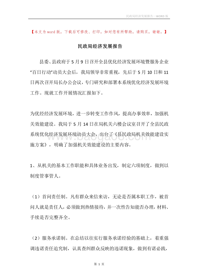 民政局经济发展报告.docx_第1页
