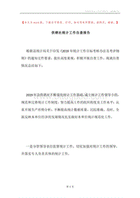 供销社统计工作自查报告.docx