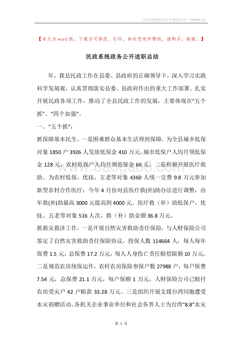 民政系统政务公开述职总结.docx_第1页