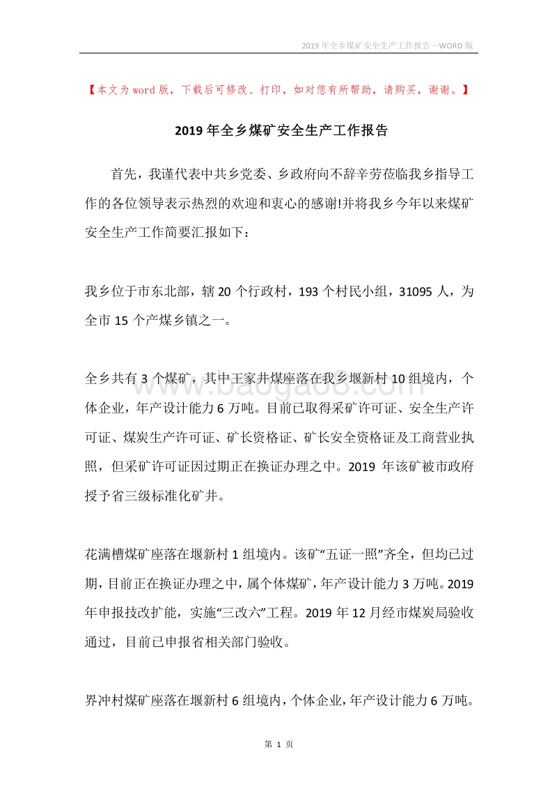 2019年全乡煤矿安全生产工作报告.docx_第1页