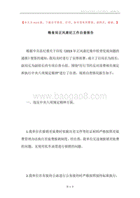 粮食局正风肃纪工作自查报告.docx