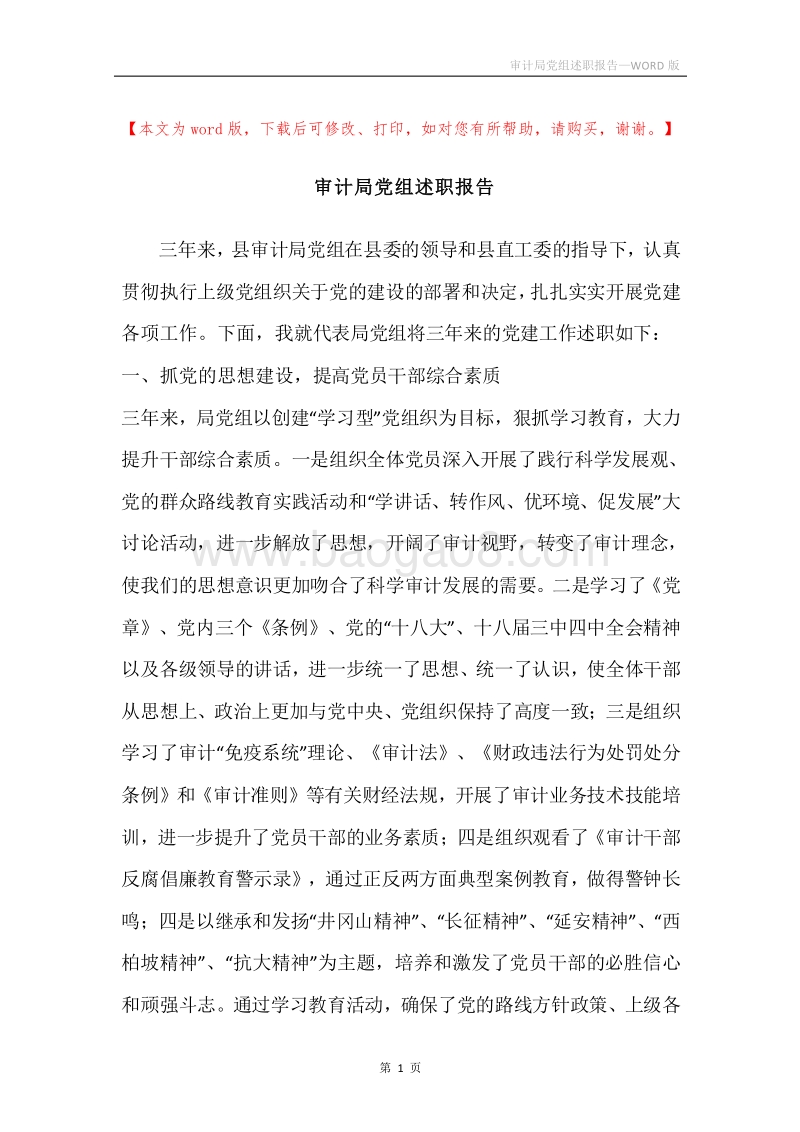 审计局党组述职报告.docx_第1页