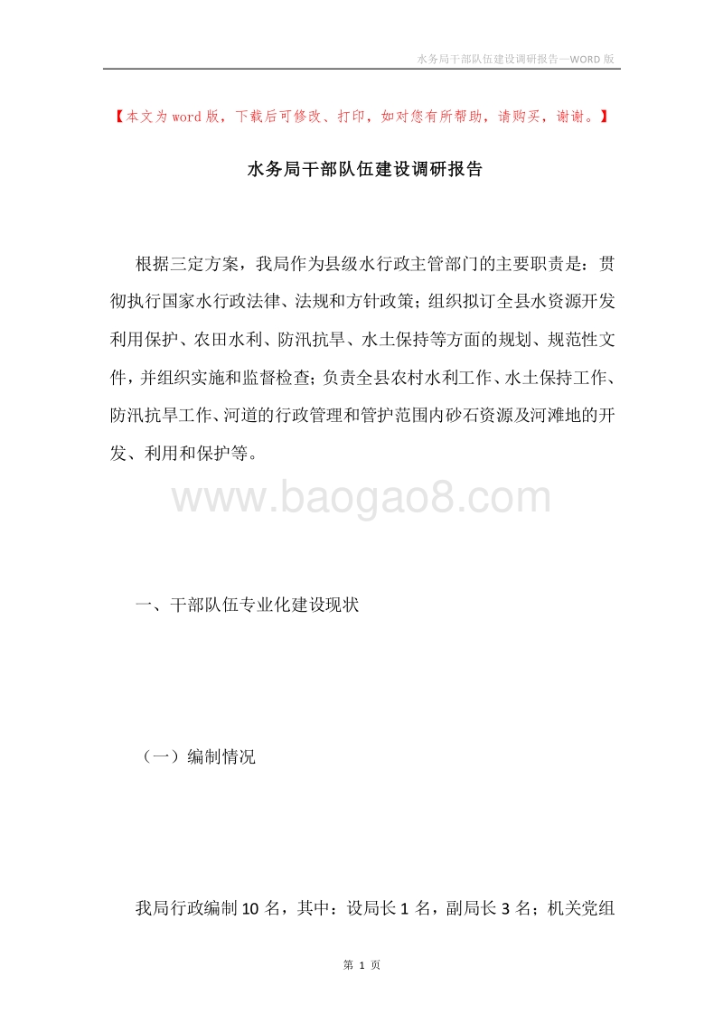 水务局干部队伍建设调研报告.docx_第1页