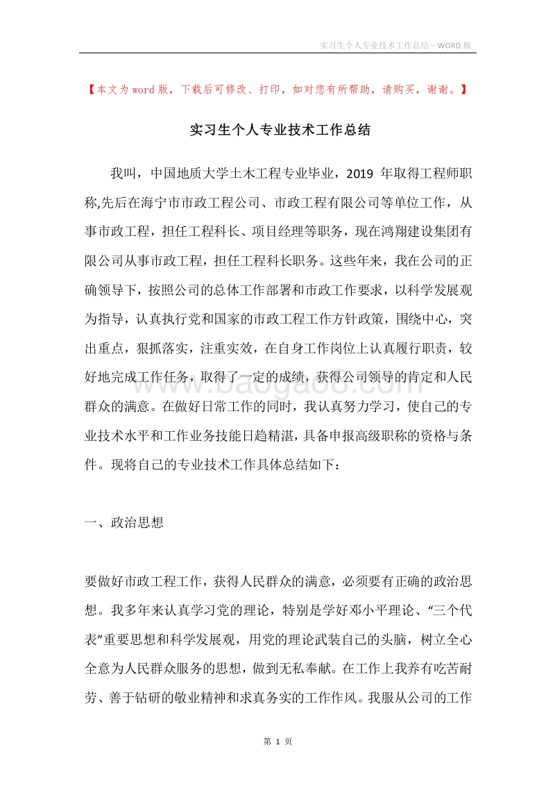 实习生个人专业技术工作总结.docx_第1页