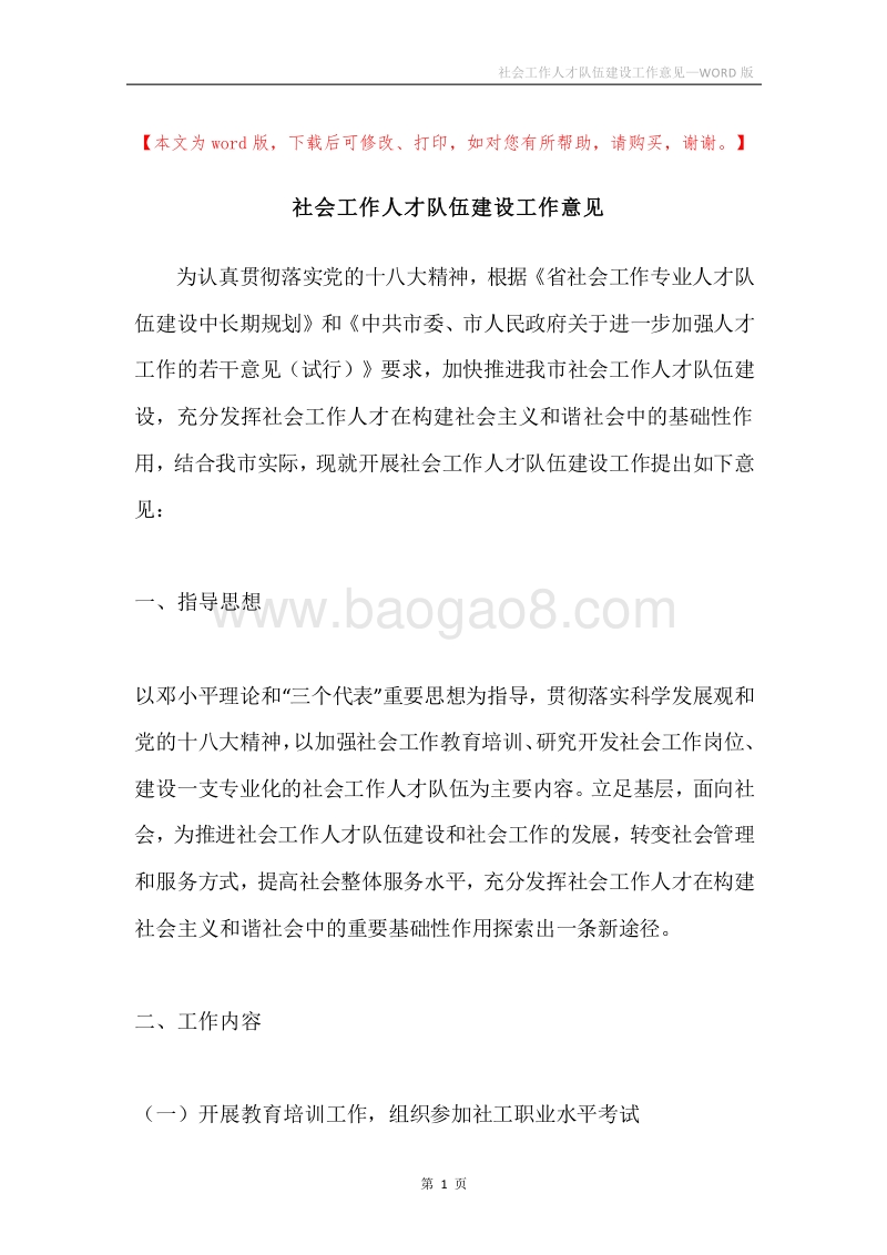 社会工作人才队伍建设工作意见.docx_第1页