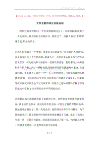 大学生教师岗位实践总结.docx