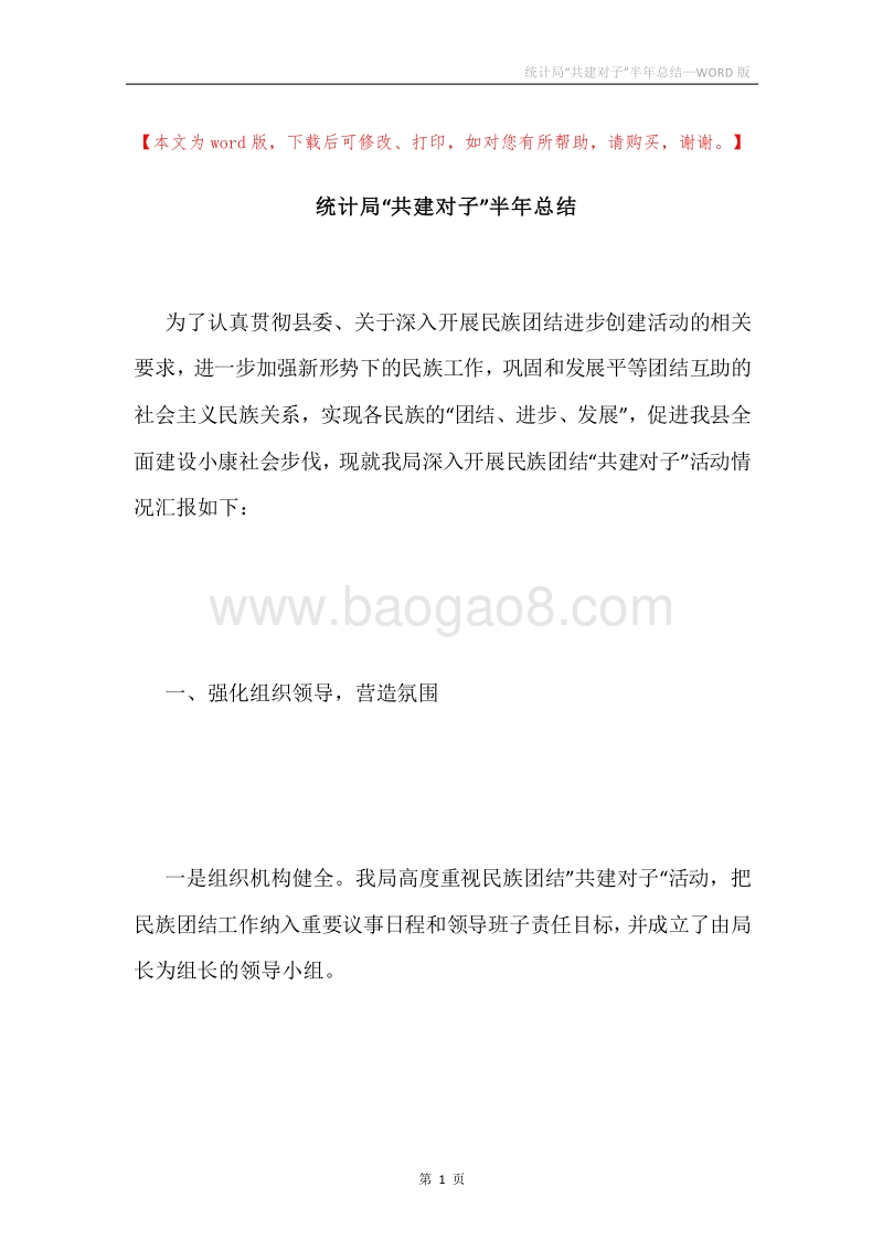 统计局“共建对子”半年总结.docx_第1页