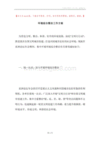环境综合整治工作方案.docx