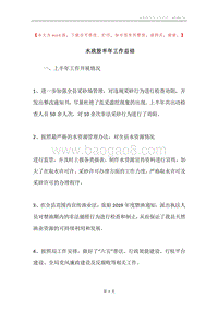水政股半年工作总结.docx