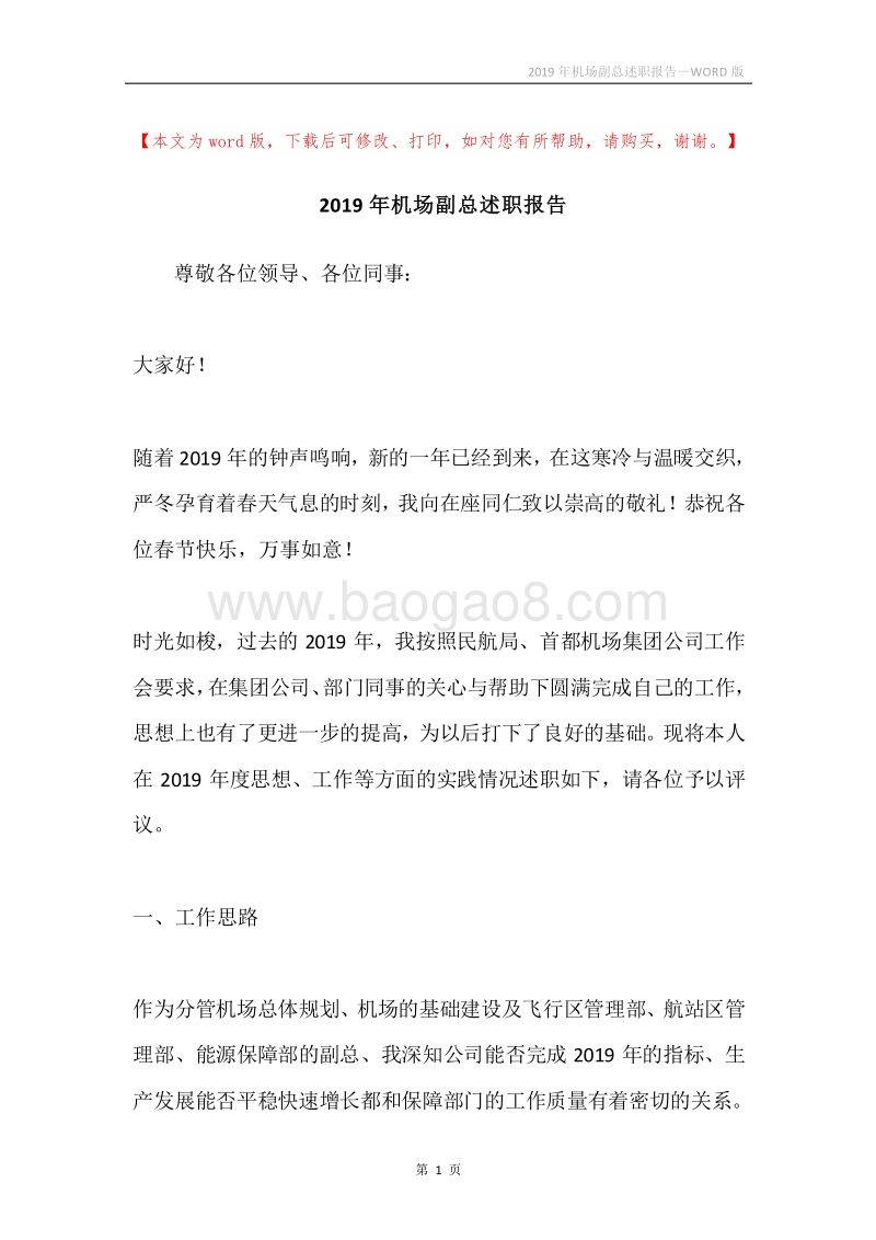 2019年机场副总述职报告.docx_第1页