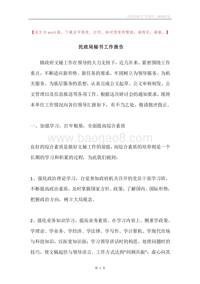 民政局秘书工作报告.docx_第1页