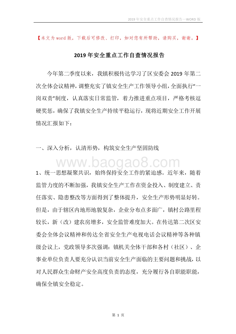 2019年安全重点工作自查情况报告.docx_第1页