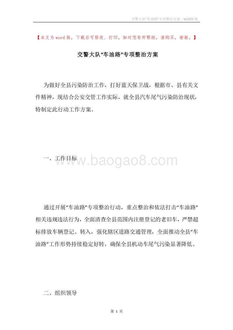 交警大队“车油路”专项整治方案.docx_第1页