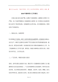 2019年森林防火工作意见.docx