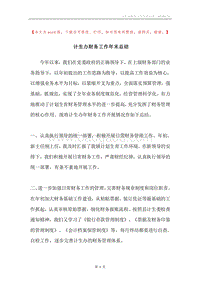 计生办财务工作年末总结.docx