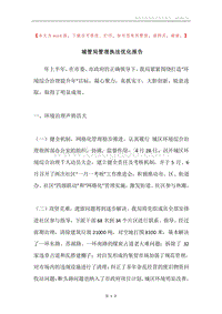 城管局管理执法优化报告.docx