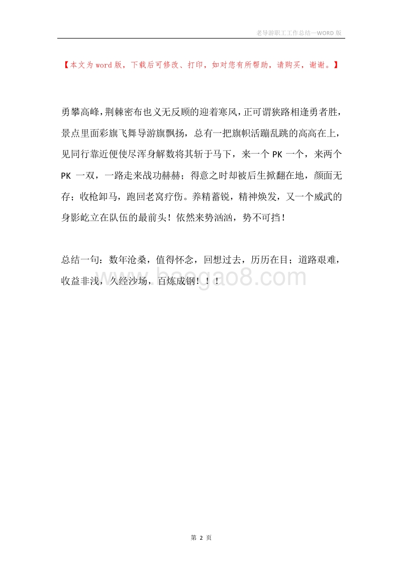 老导游职工工作总结.docx_第2页