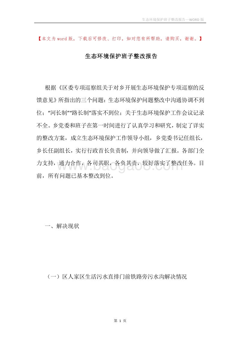 生态环境保护班子整改报告.docx_第1页