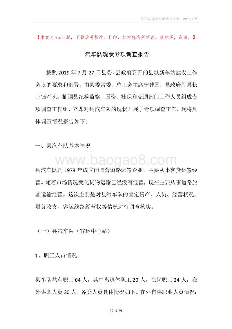 汽车队现状专项调查报告.docx_第1页