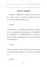菜篮子民生工程督查方案.docx