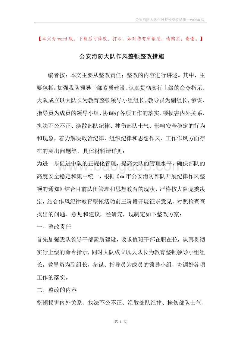 公安消防大队作风整顿整改措施.docx_第1页
