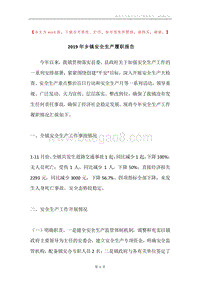 2019年乡镇安全生产履职报告.docx