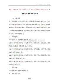 寿险公司营销部策划方案.docx