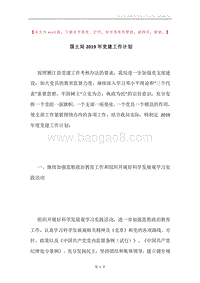 国土局2019年党建工作计划.docx
