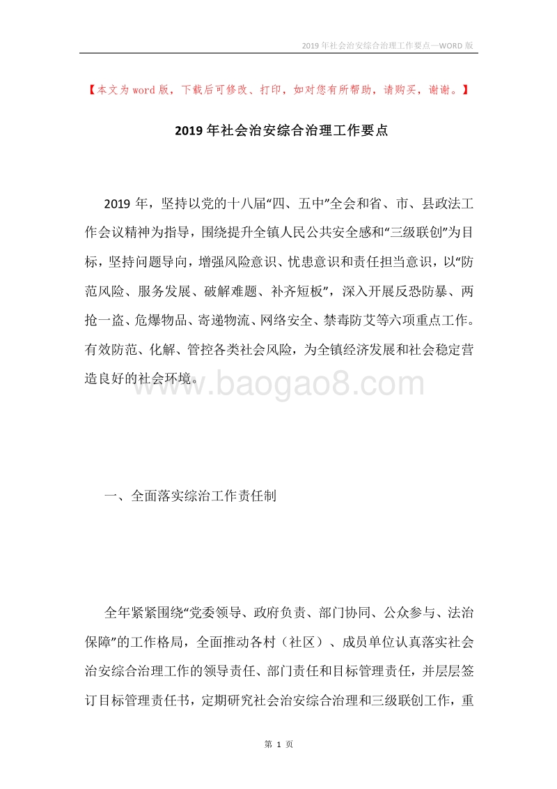 2019年社会治安综合治理工作要点.docx_第1页