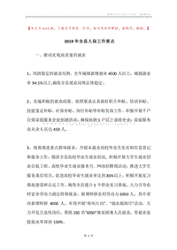 2019年全县人保工作要点.docx