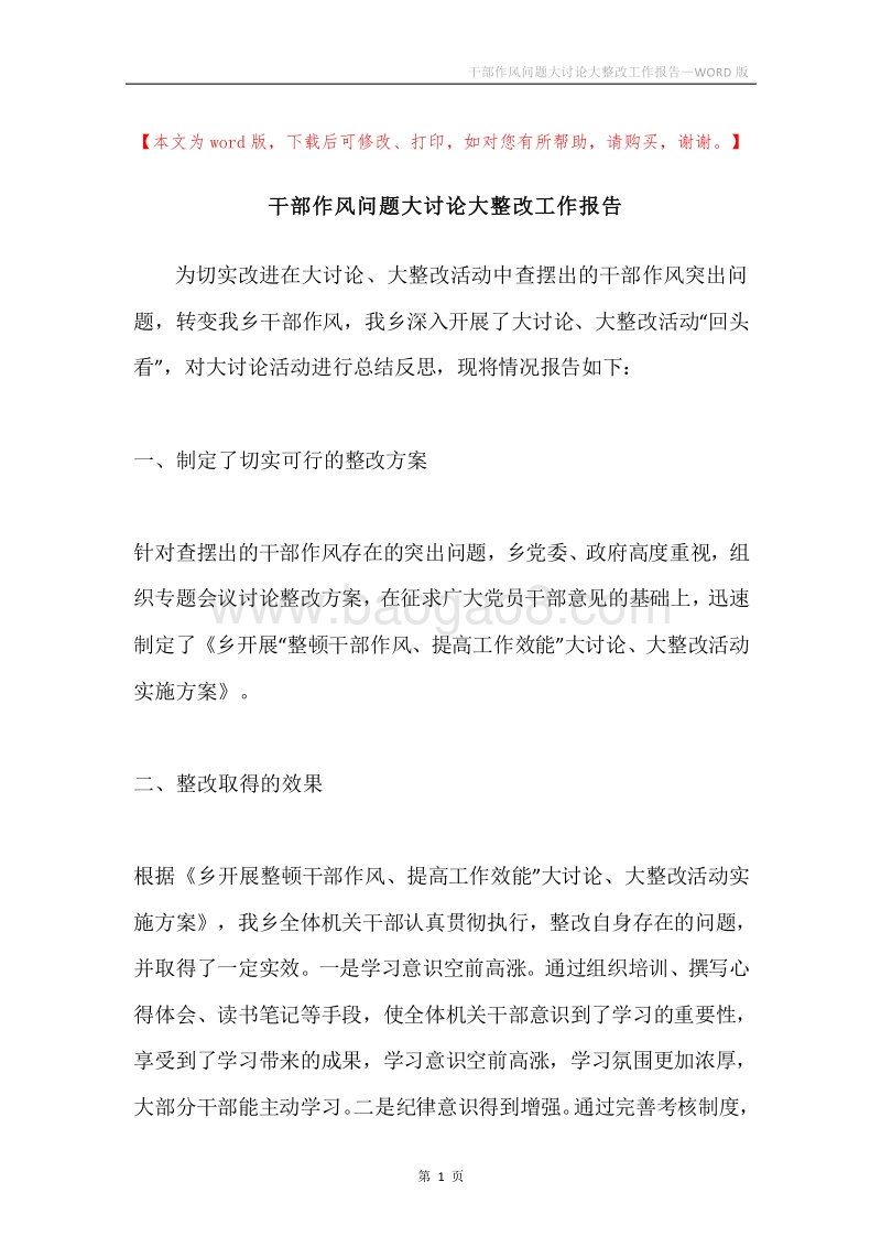 干部作风问题大讨论大整改工作报告.docx_第1页