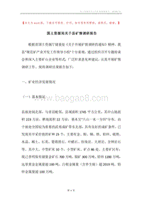 国土资源局关于县矿情调研报告.docx