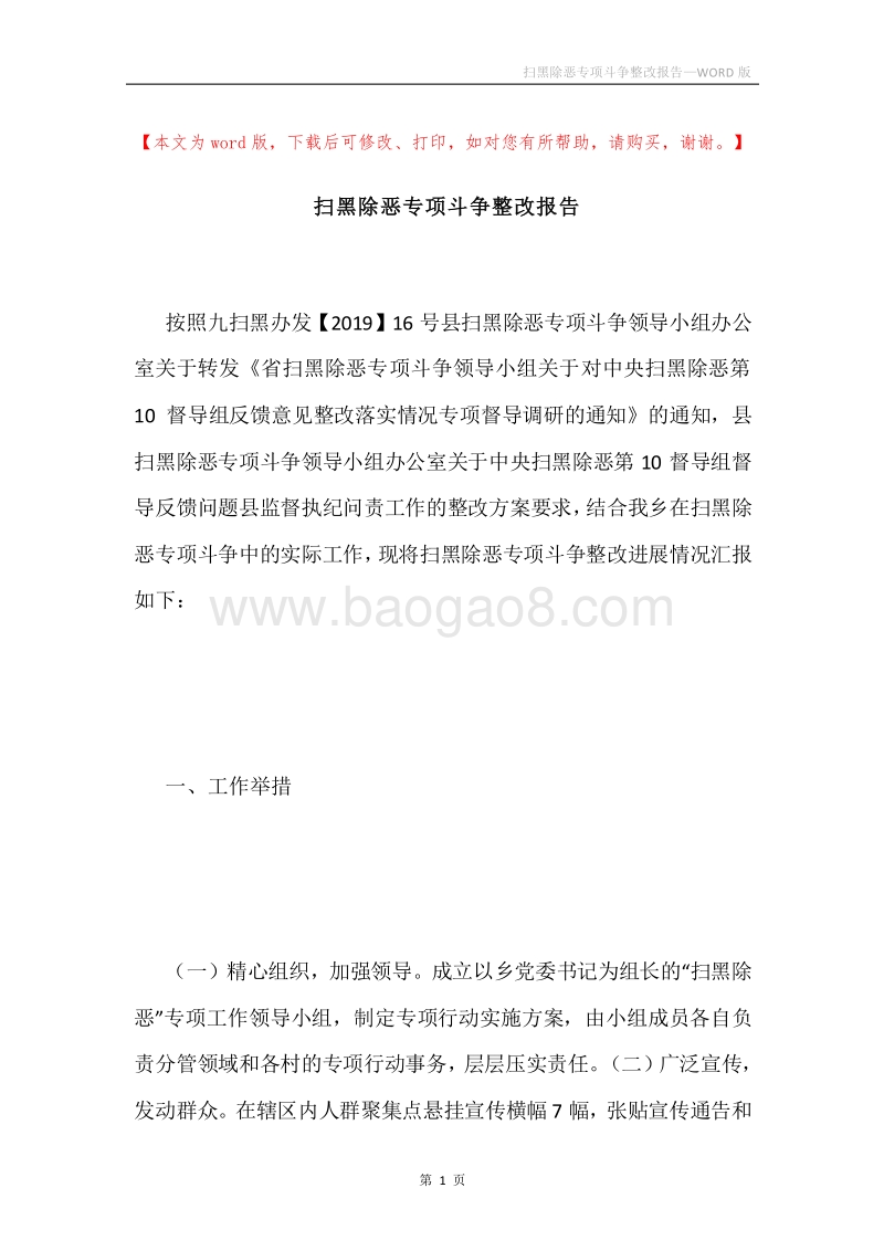 扫黑除恶专项斗争整改报告.docx_第1页
