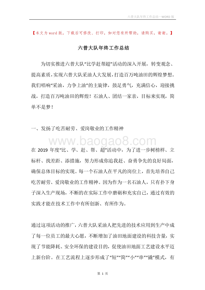 六普大队年终工作总结.docx_第1页