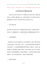 工业气体安全生产整治活动总结.docx