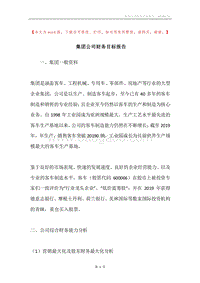 集团公司财务目标报告.docx