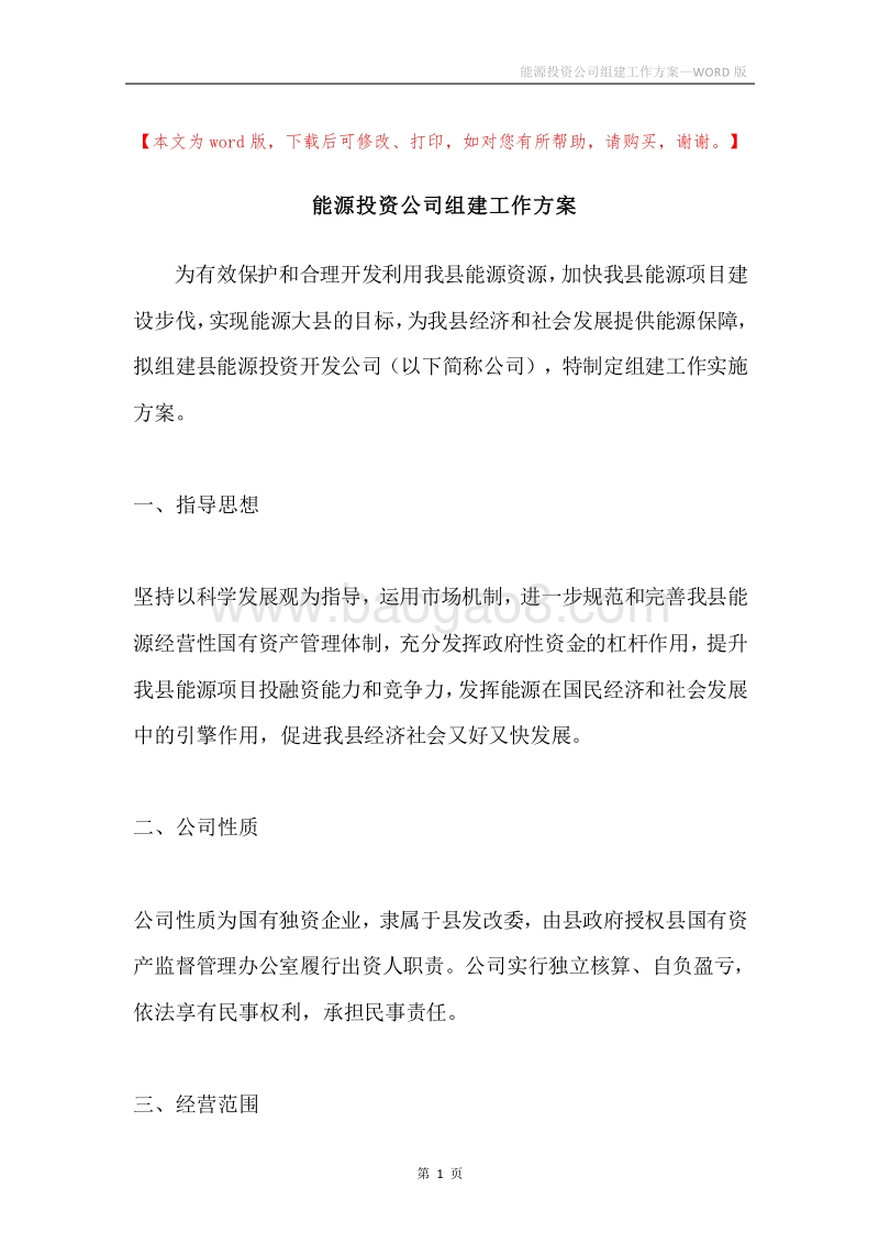 能源投资公司组建工作方案.docx_第1页