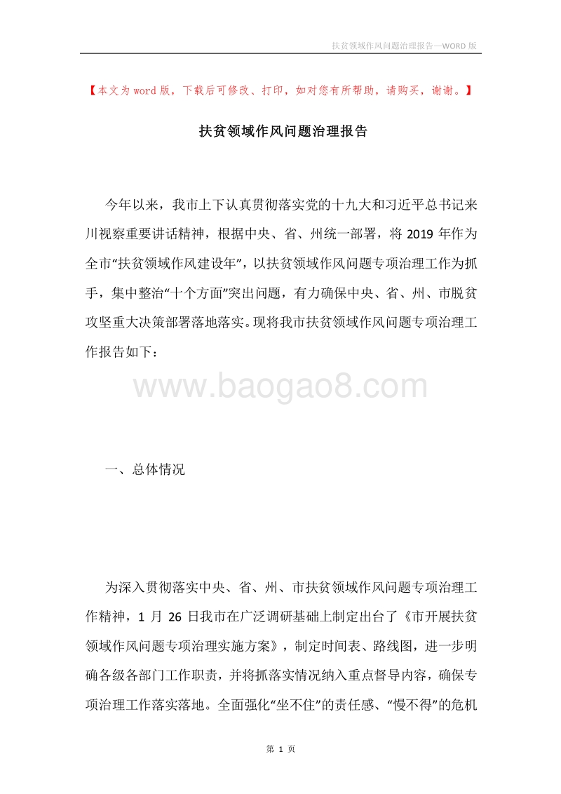 扶贫领域作风问题治理报告.docx_第1页