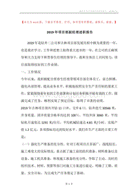 2019年项目部副经理述职报告.docx