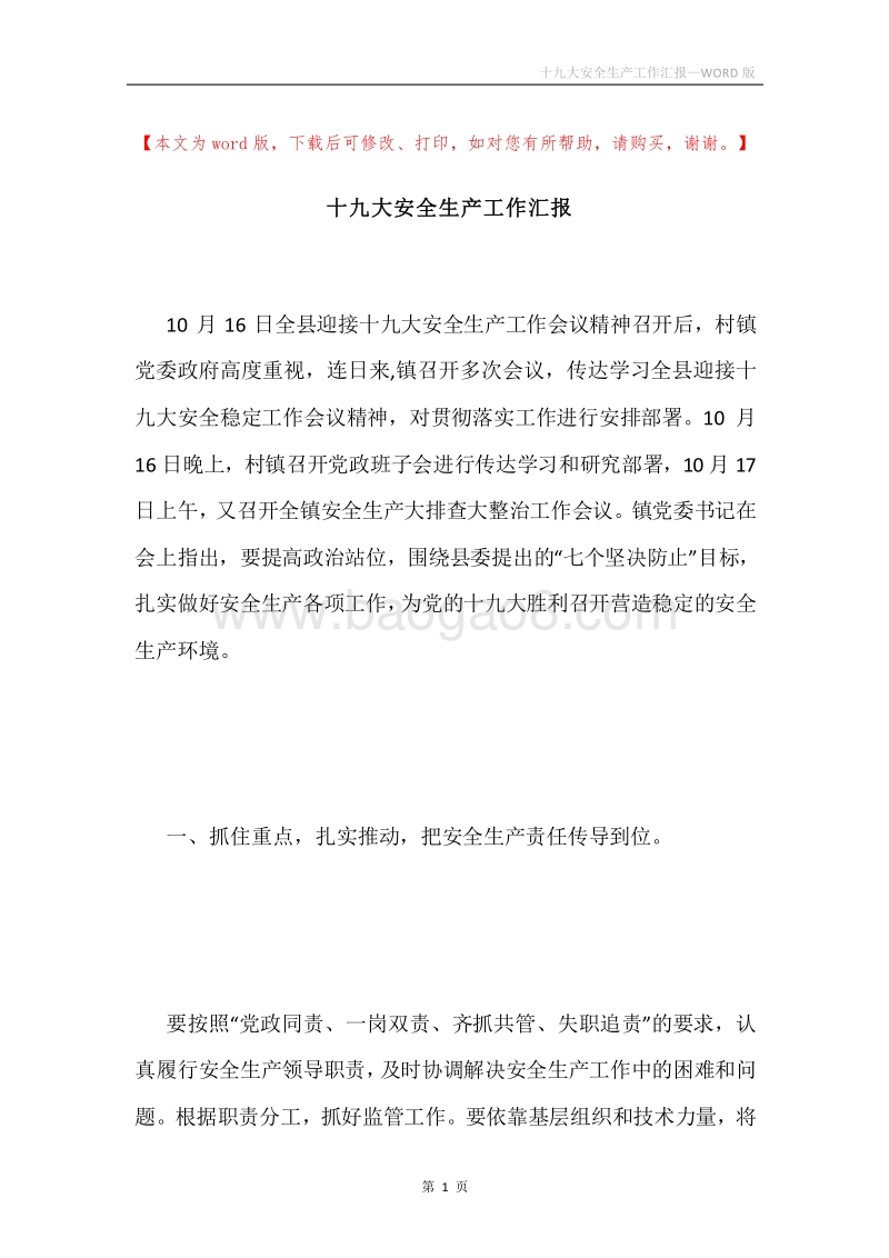 十九大安全生产工作汇报.docx_第1页