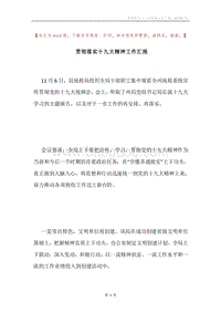 贯彻落实十九大精神工作汇报.docx